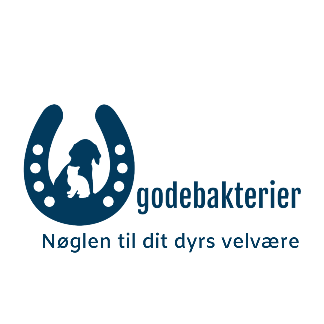 Godebakterier