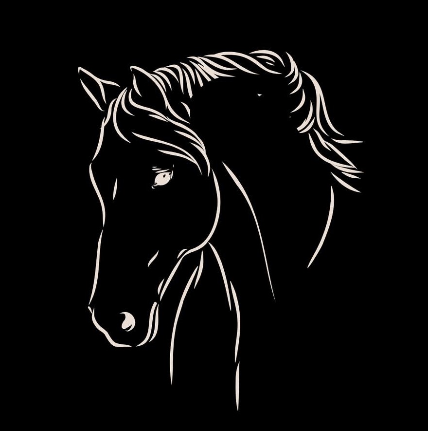 Stutteri-Lillemunkholm/Horse-Bedding