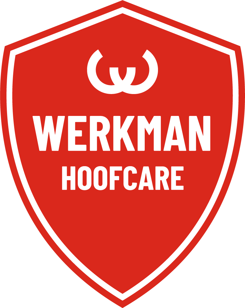 Werkman Hoofcare B.V.
