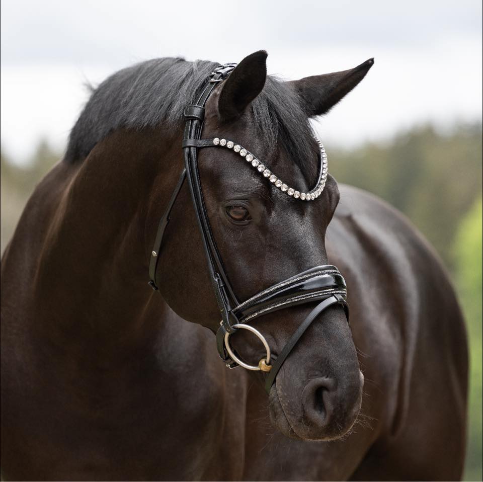 Ivy Horsefashion EquiLE GmbH