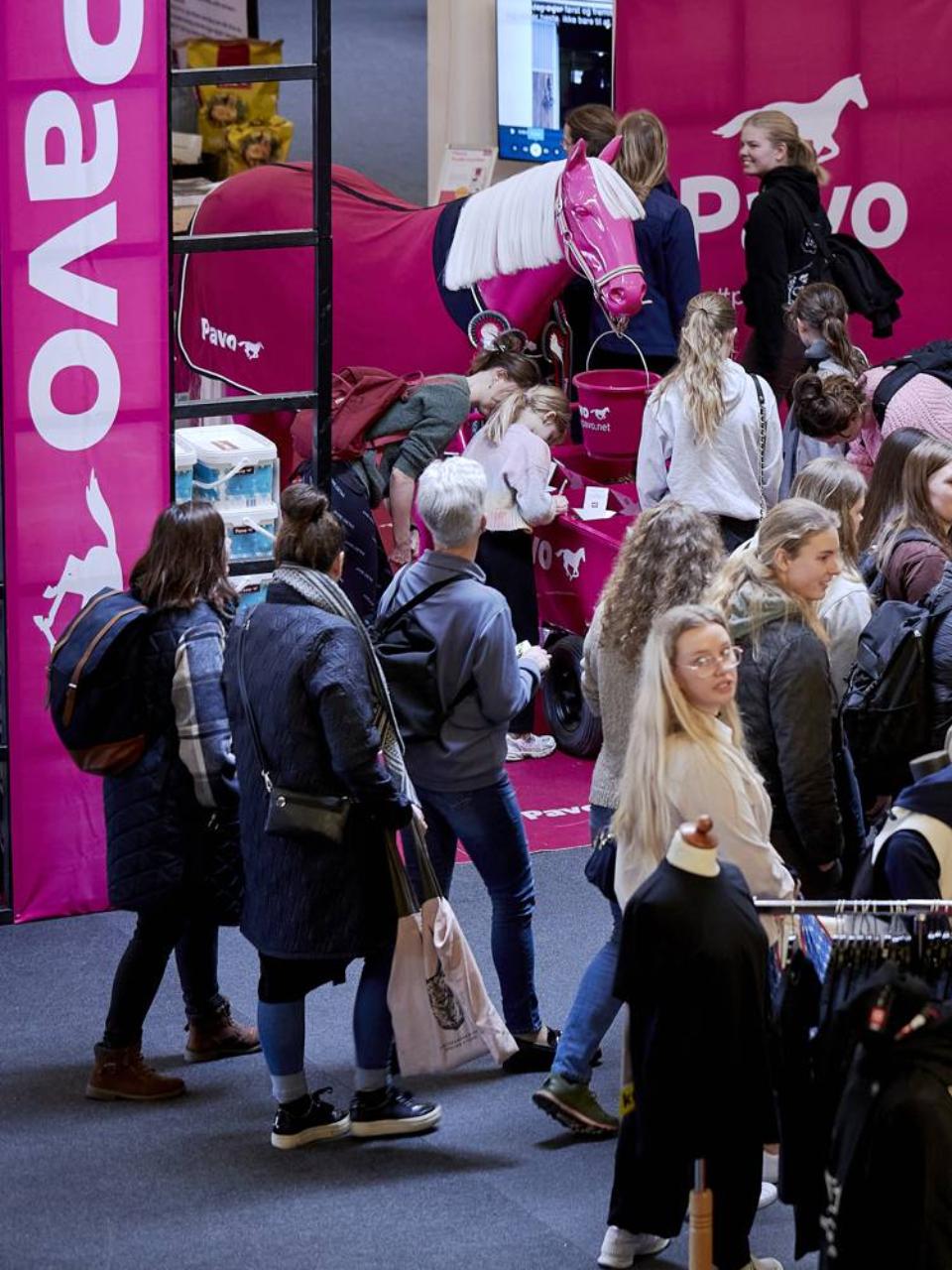 Opmærksomhedsskabende udstiller på hest & rytter