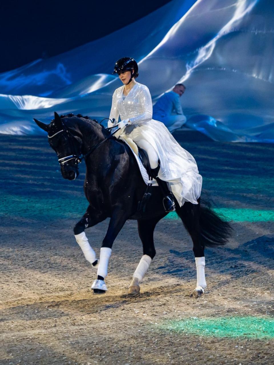 Hesteshow på hestemesse i Herning