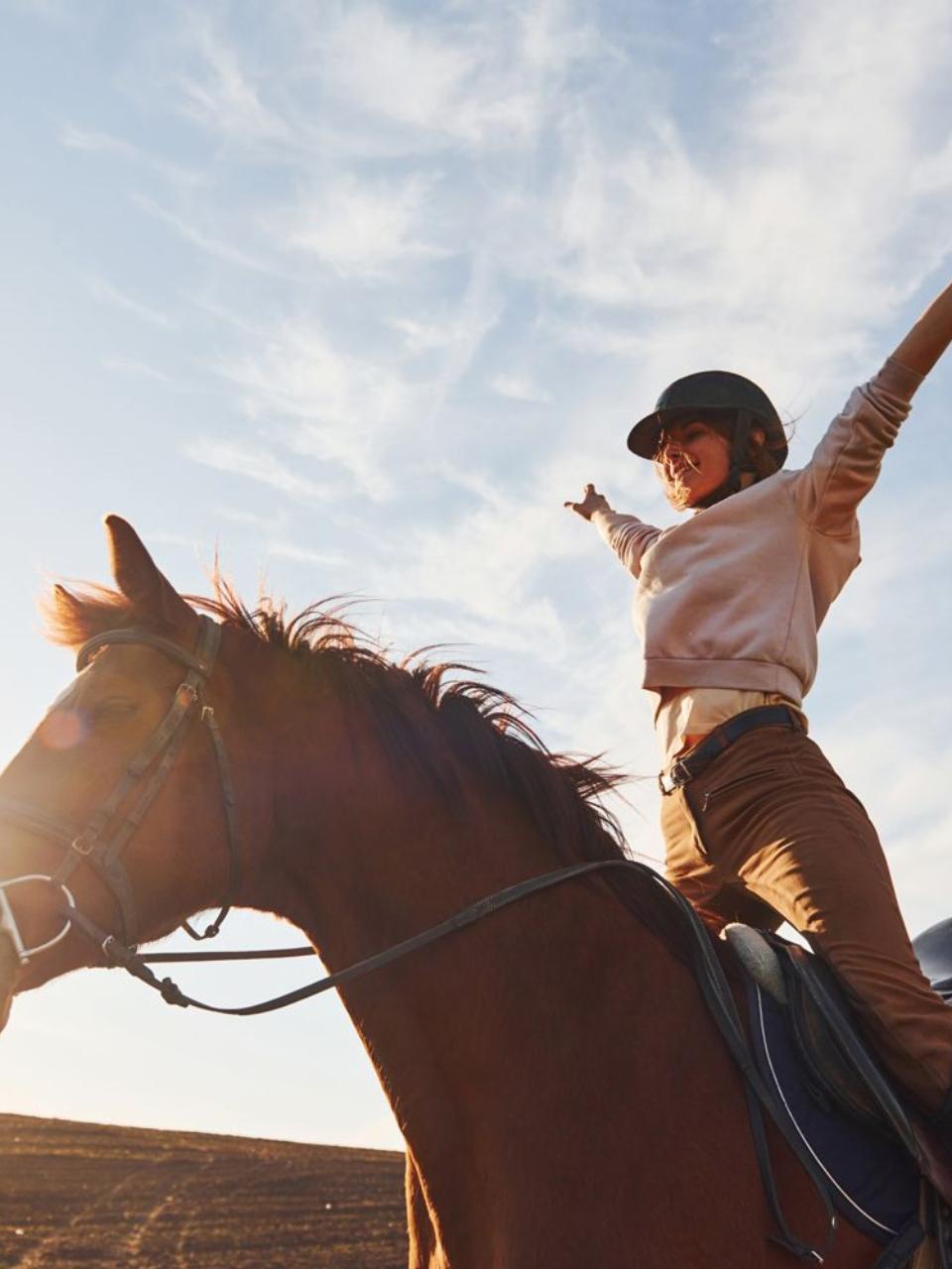 Hest og rytter på tur på vej til hestemesse