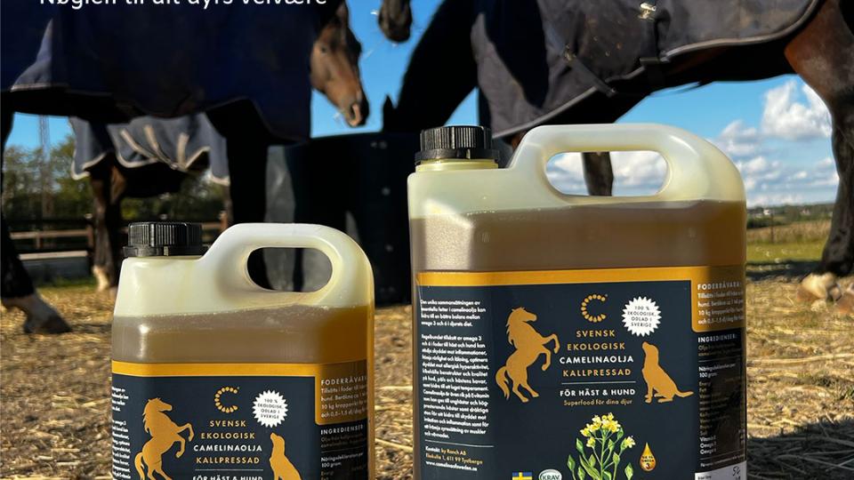 Organic Camelinaoil for horses and dogs