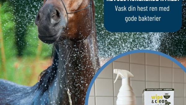 Make Your Horse and Its Surroundings Clean with Probiotic Cleaning - Wipe and Clean