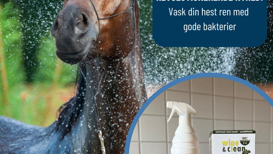 Make Your Horse and Its Surroundings Clean with Probiotic Cleaning - Wipe and Clean