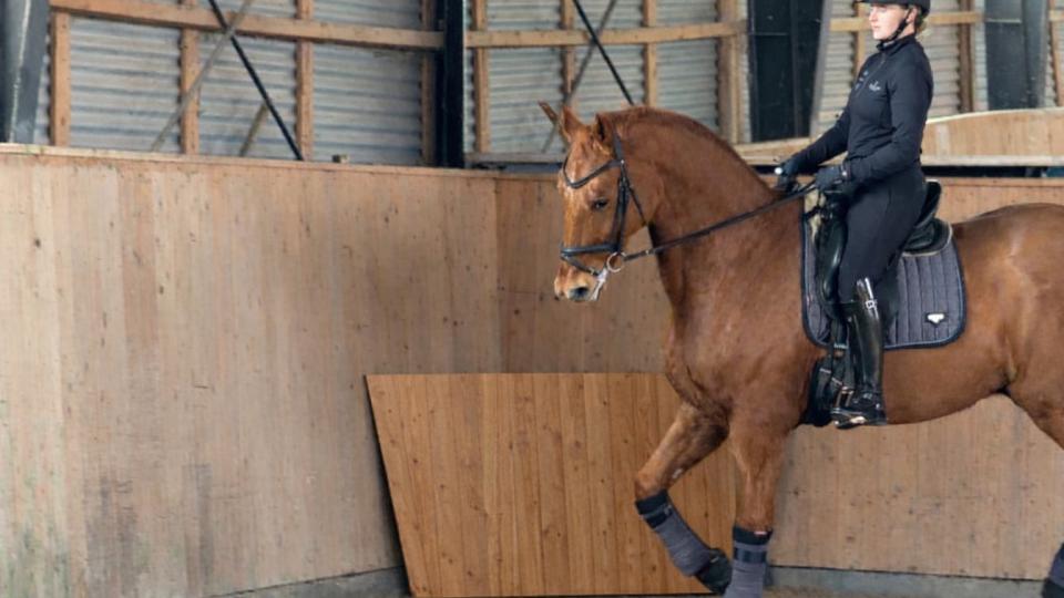 New Merkur from Podek makes work easier in indoor riding arenas