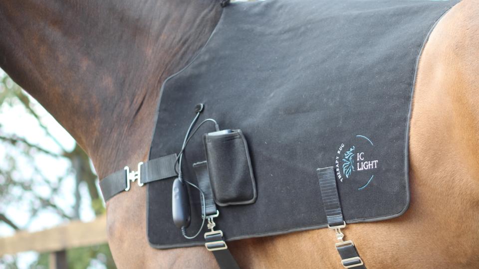 IC LIGHT TR90 -  NEW!