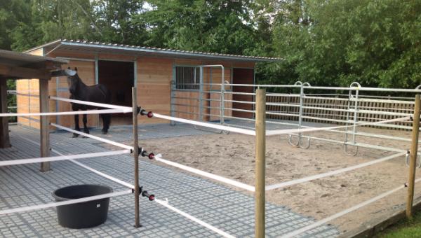 Welfare base for the horse