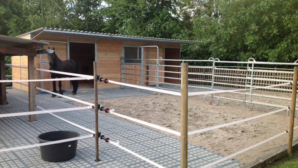 Welfare base for the horse