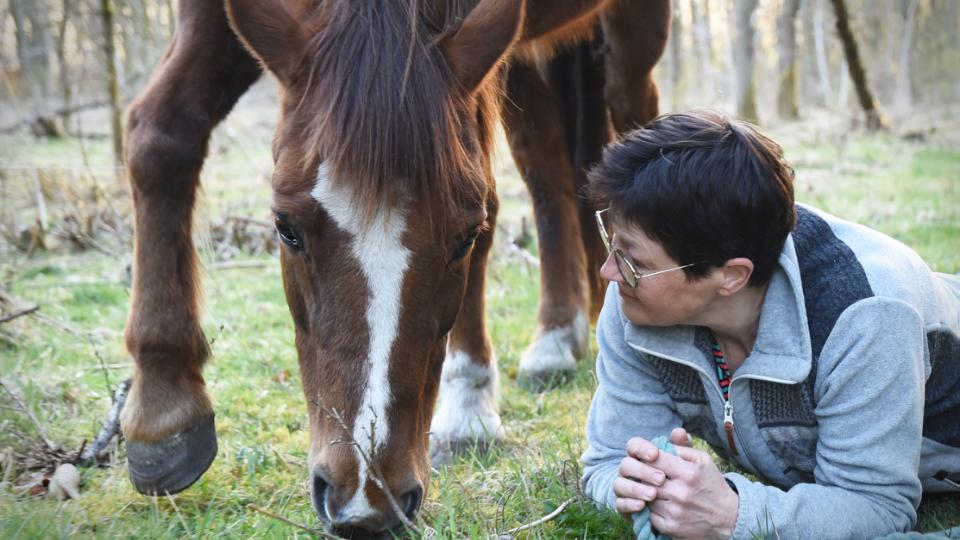 Become your own stable master and create a closer collaboration with your horse!