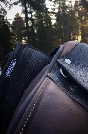 HorseAthlete, Our Offer!