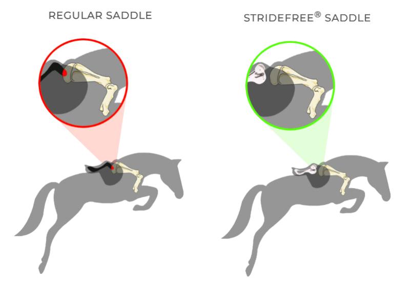 StrideFree Saddles
